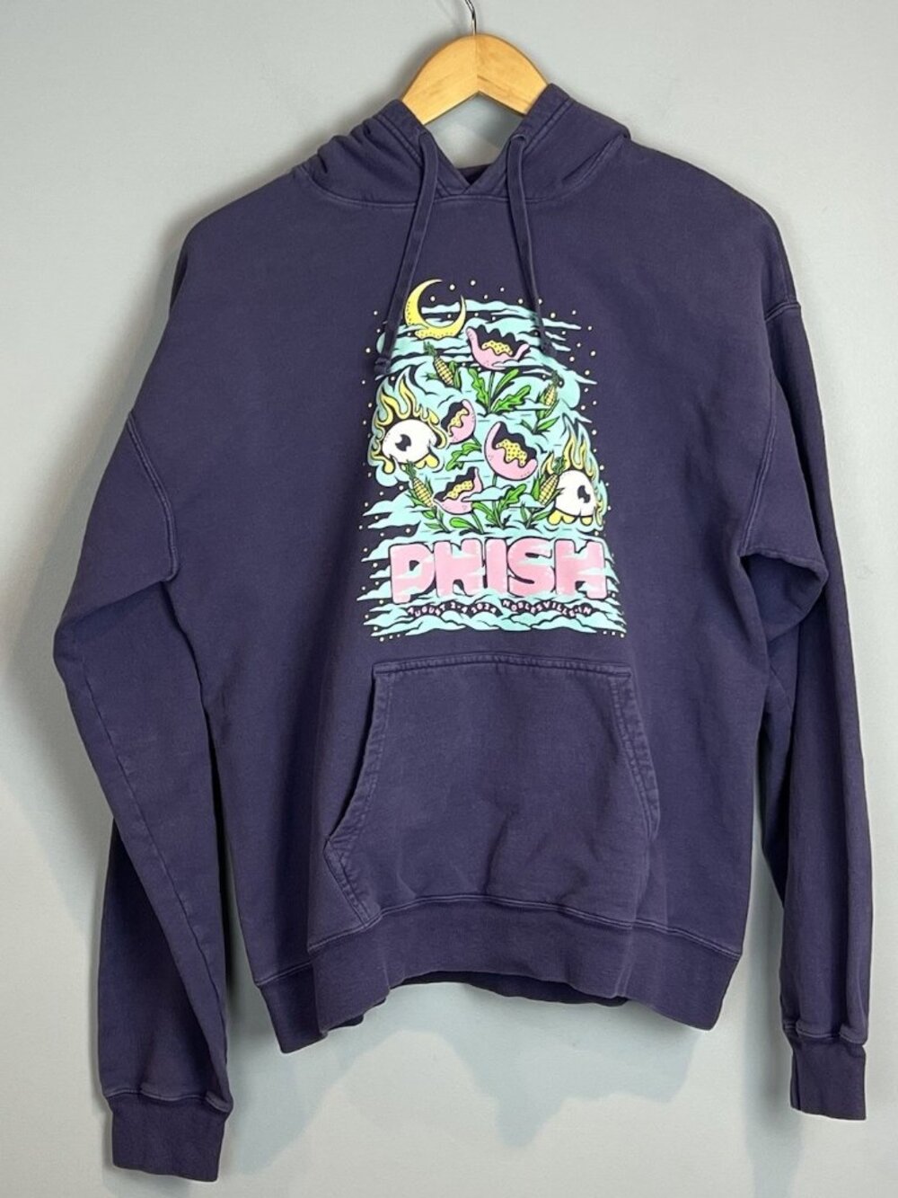 Phish Hoodie Size Medium Noblesville Indiana August 2-4 2024 Purple Sweatshirt